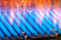 Blashaval gas fired boilers
